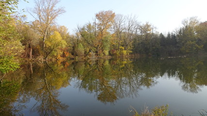 Fototapeta na wymiar Trees by the lake in autumn