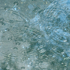 blue background puddle of rain / raindrops, circles on a puddle, bubbles in the water, the weather is autumn