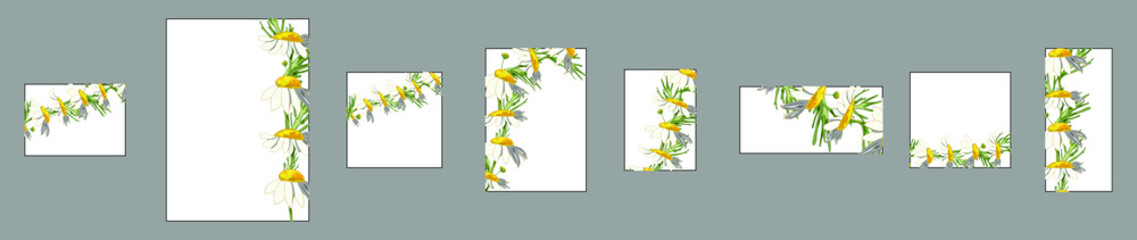 Set of different white cards with floral pattern and place for text on a gray background. Pharmacy chamomiles on a white background. Seamless brush in swatches. Pattern with wildflowers.