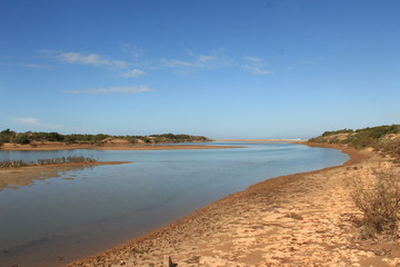 Fototapeta na wymiar a river flowing into the sky, sandbank and birds