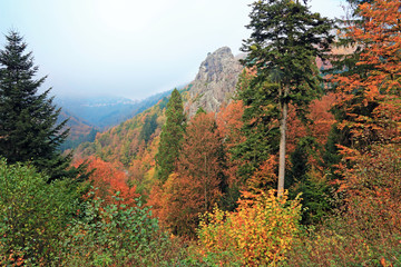 La montagne aux couleurs de l'automne