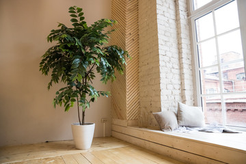 Empty joga center interior with big windows and wooden floor, modern loft studio for work out and...