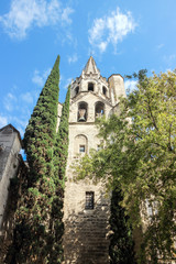 Fototapeta na wymiar exterior of St Peter Catholic church in Avignon France