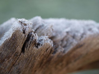 Holz, Wood, frozen, winter, Raureif