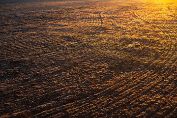 Natural background of ground surface with effect of saturated light of sunrise.