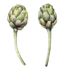 Fototapeta premium Watercolor artichoke set. Hand painted flowers and leaves isolated on white background. Floral spring illustration for design, print, fabric or background.