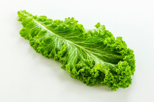 8 Best マスタードリーフ Images Stock Photos Vectors Adobe Stock