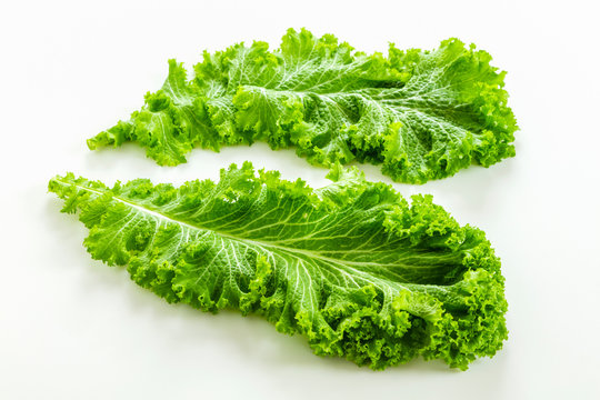 8 Best マスタードリーフ Images Stock Photos Vectors Adobe Stock