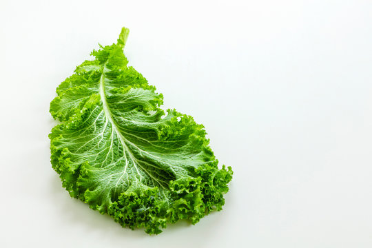 8 Best マスタードリーフ Images Stock Photos Vectors Adobe Stock