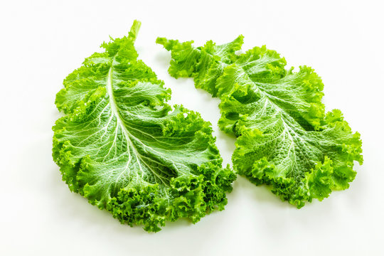 8 Best マスタードリーフ Images Stock Photos Vectors Adobe Stock