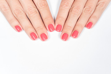 Closeup top view of two female hands with fresh bright gel polished manicure of fingernails isolated on white background.
