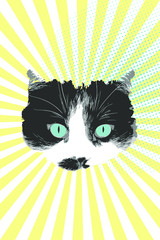 Cat face on pop art background. Black and white cat with blue eyes. Vector illustration