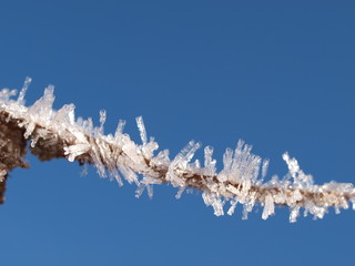 Frost, frozen, ice crystals