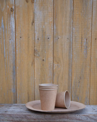 disposable coffee glasses in a bright kitchen.