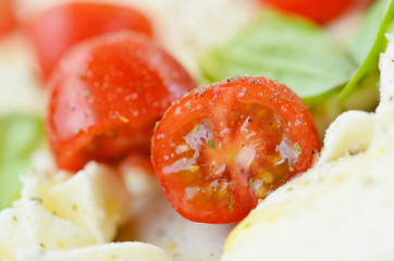 Close-up of mozzarella cheese, tomatoes and basil