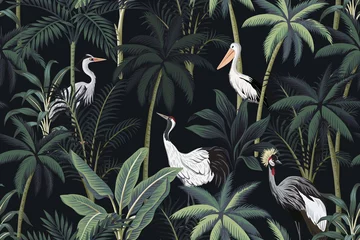 Tapeten Tropische Vintage Nachtlandschaft, dunkle Palmen, Pflanzen, Vögel floral nahtlose Muster schwarzen Hintergrund. Exotische Dschungeltapete. © good_mood