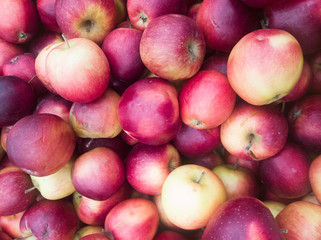 ripe but not very beautiful red-yellow apples of small size and on the counter