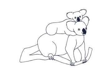 koala with baby on the back. white background isolate. eps 10 vector stock illustration. hand drawing. out line