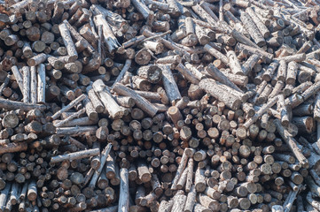 Big pile of old dry cut firewood