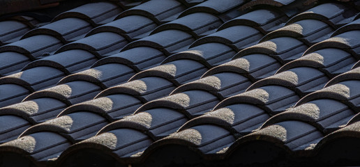 Frosty Roof Tiles