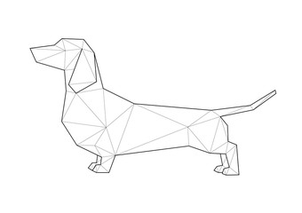 Low poly illustrations of dogs. Dachshund standing.