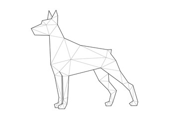 Low poly illustrations of dogs. Doberman standing.