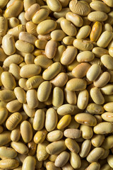 Raw Yellow Organic Perruano Beans