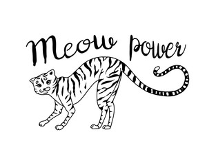 Striped kitty cat. Meow power. Cute pet. Hand drawn engraved sketch for logo or label or banner or t-shirt. Vector illustration in outline vintage doodle style.