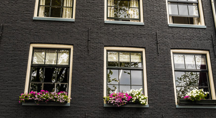 Windows decorated with flowers. Nature background