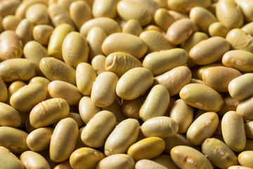 Raw Yellow Organic Perruano Beans