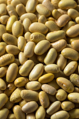 Raw Yellow Organic Perruano Beans