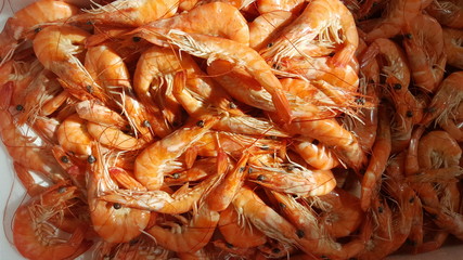 frische Scampi