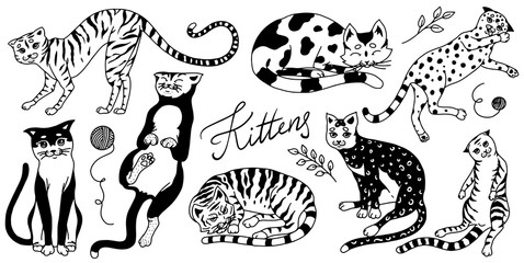 Collection of cats. Washing, playing and sleeping animals. Cute funny Domestic kitty. Hand drawn engraved sketch for banner or t-shirt. Monochrome Vector illustration in outline vintage doodle style