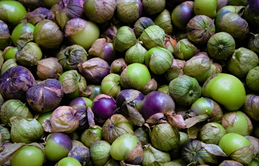 Fresh green and purple tomatillo, mexican husk  tomatoes, as sold in bulk in a Mexican traditional market