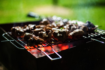 Juicy slices of meat prepare on fire. barbecue