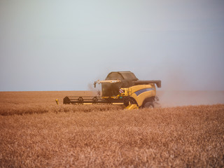 Yellow combine harvest on field. Summer harvest and blue sky. Harvesting on field.