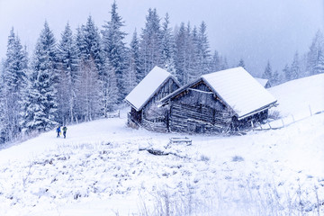 Schneeschuhtour, Lawinenkurs, Schladming, Steiermark, Österreich