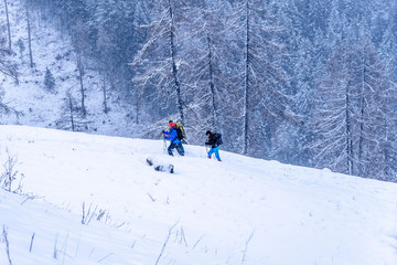Schneeschuhtour, Lawinenkurs, Schladming, Steiermark, Österreich