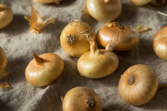 Raw Yellow Organic Cipolline Onions
