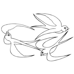Vector illustration. Abstract birds swallows in flight. Design of banners, wallpapers, clothes, backgrounds