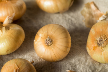 Raw Yellow Organic Cipolline Onions