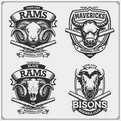 Baseball badges, labels and design elements. Sport club emblems with ram, bull and bison. Print design for t-shirts.