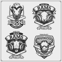 Set of cricket club emblems, labels, badges and design elements with bison, bull and ram. Print design for t-shirts.