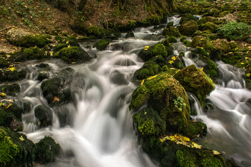 Fototapeta na wymiar forest fairy stream flows over slippery green stones covered with moss with blur effect