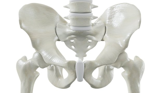 Hip bone Front 