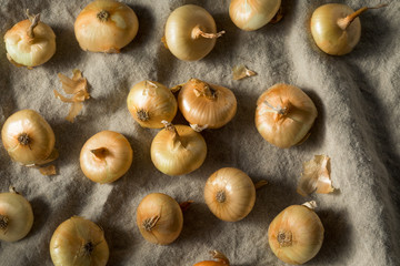 Raw Yellow Organic Cipolline Onions