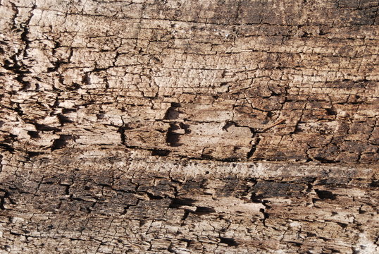 weathered barnboard