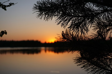 Fototapeta na wymiar Zweige vor einem Sonnenuntergang über einem See