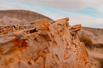 desert
