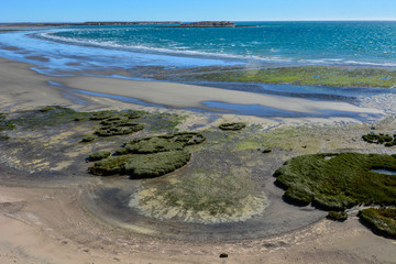 Low tide beach, Peninsula Valdes, Patagonia, Argentina